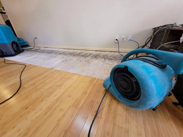 Professional Ceiling Water Damage Repair technician working in Windham, OH